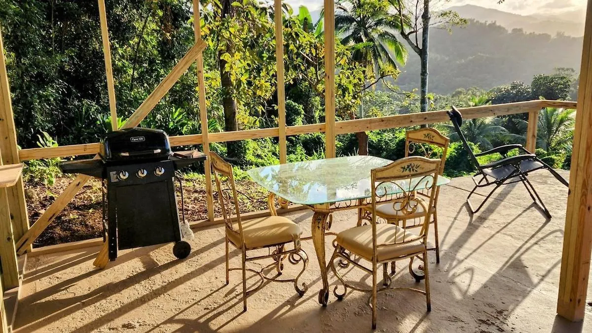 Finca De Jungla Rainforest Retreat Luquillo 0*,  Puerto Rico