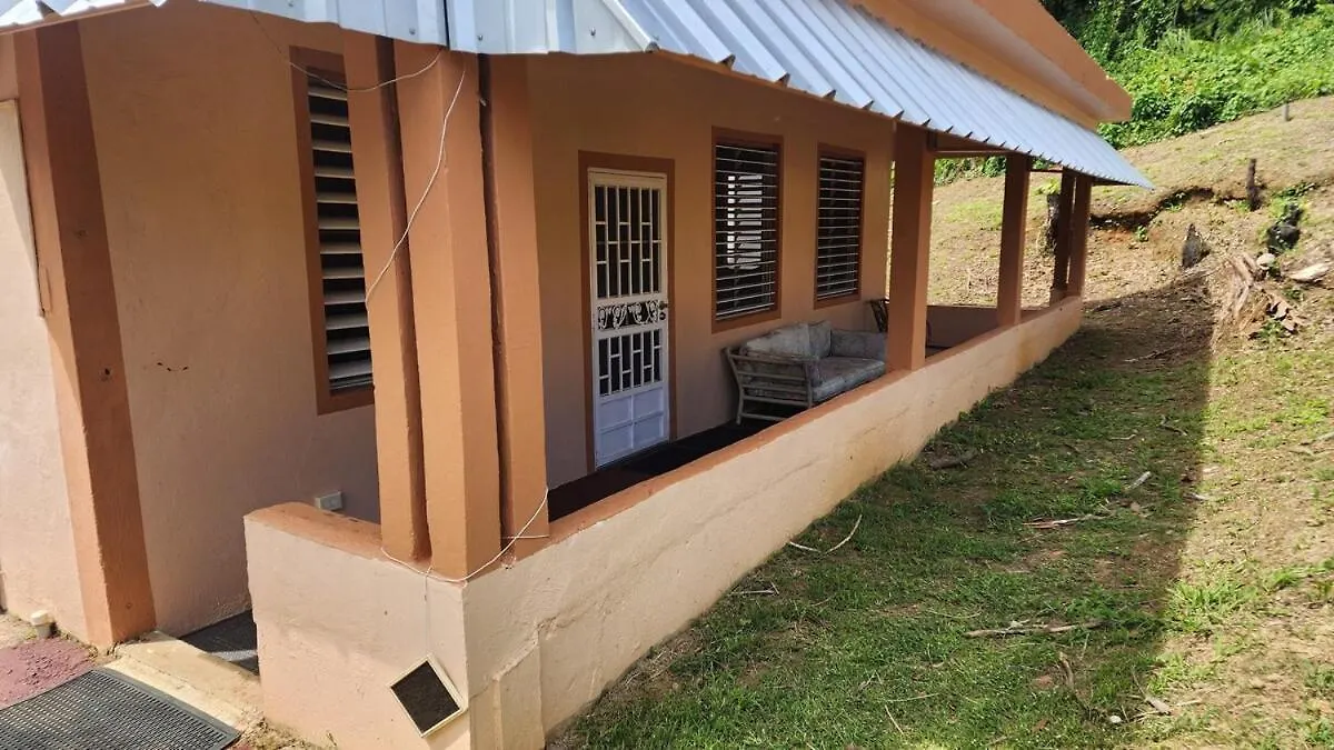 Finca De Jungla Rainforest Retreat Luquillo Holiday home