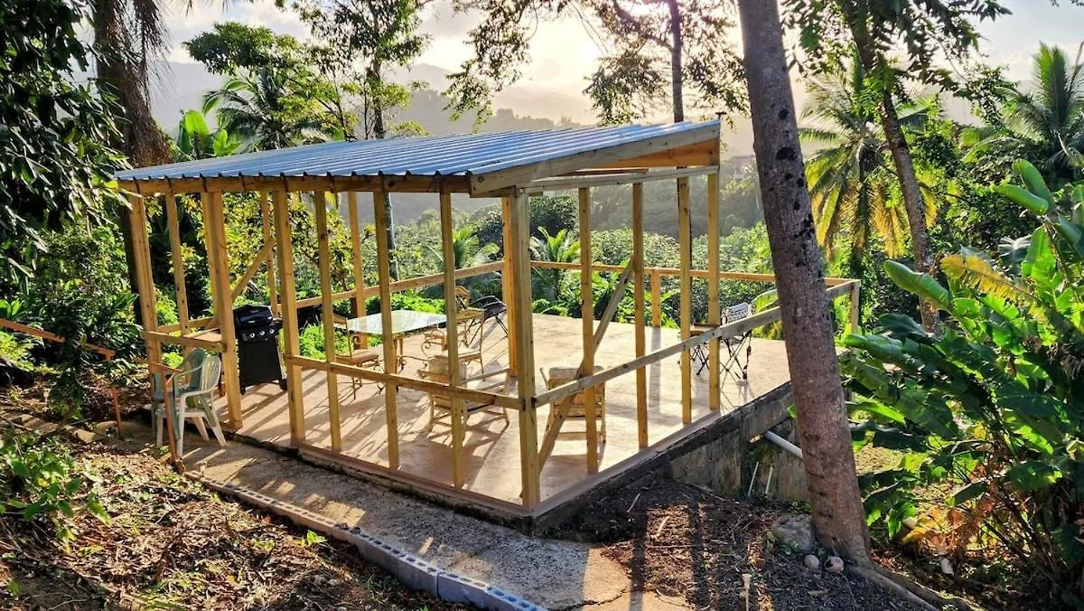Finca De Jungla Rainforest Retreat Luquillo Holiday home