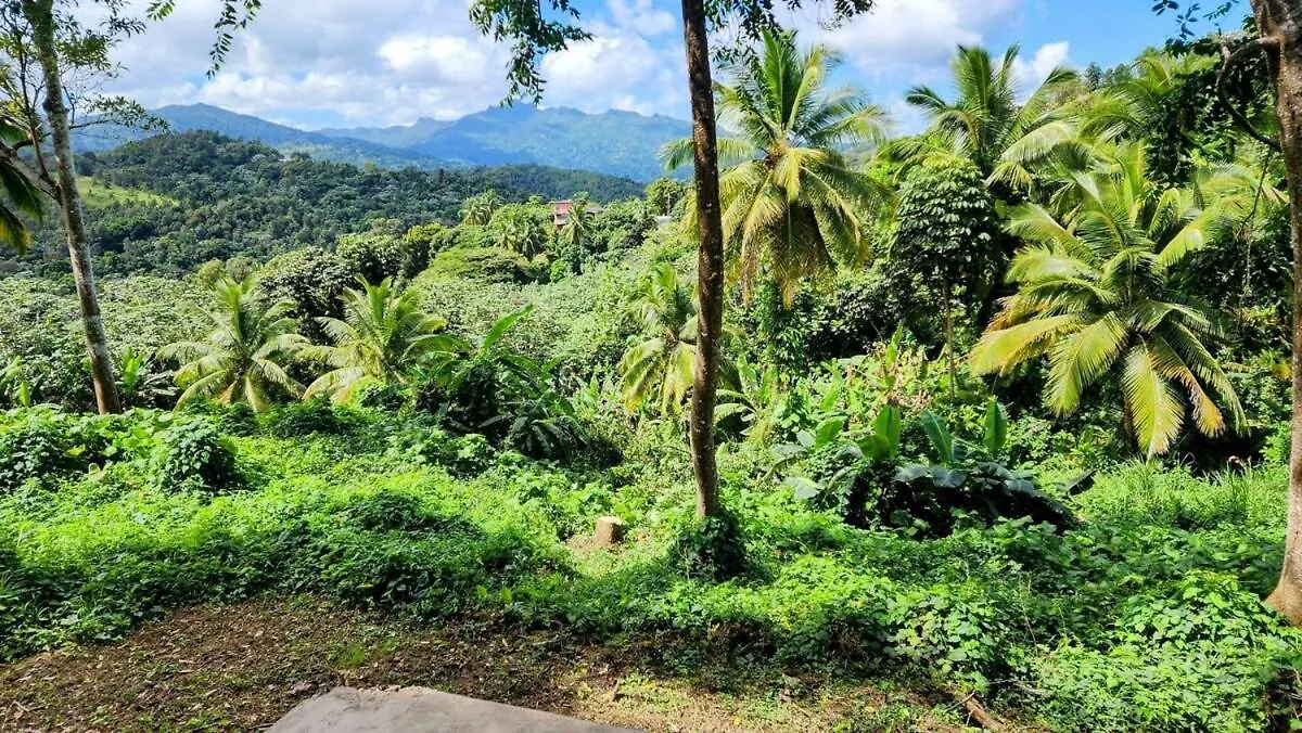 Holiday home Finca De Jungla Rainforest Retreat Luquillo Puerto Rico