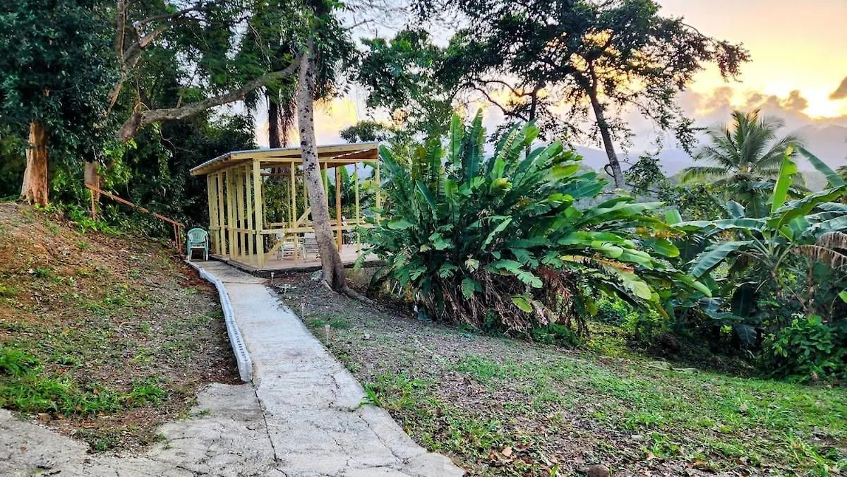 Finca De Jungla Rainforest Retreat Luquillo