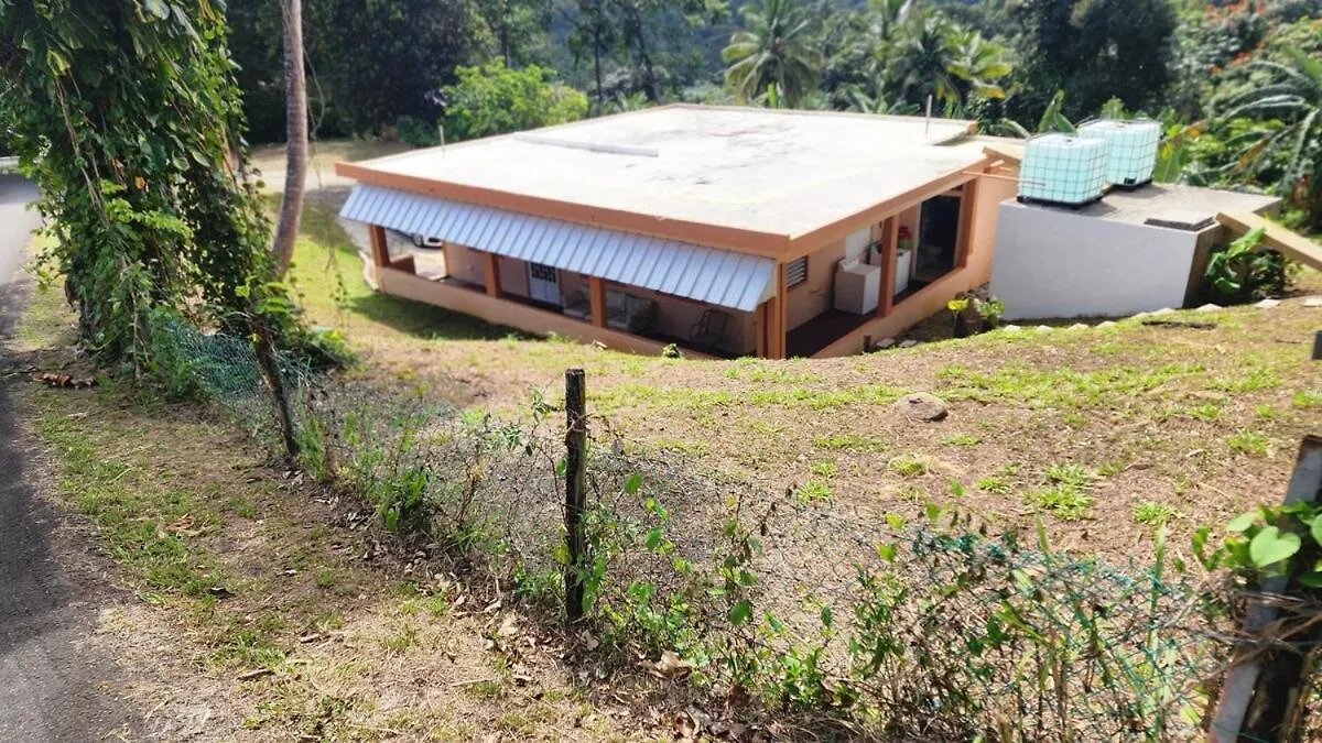 Finca De Jungla Rainforest Retreat Luquillo