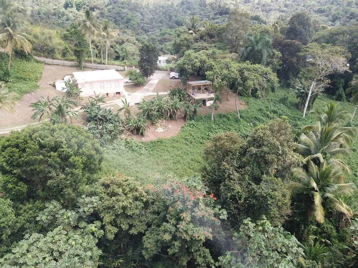 Finca De Jungla Rainforest Retreat Luquillo Holiday home