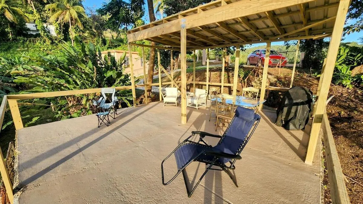 Finca De Jungla Rainforest Retreat Luquillo 0*,