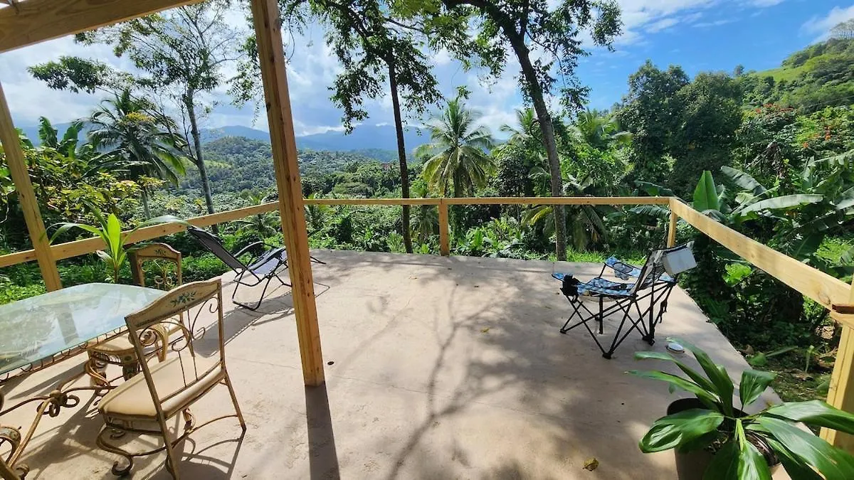 Finca De Jungla Rainforest Retreat Luquillo 0*,  Puerto Rico