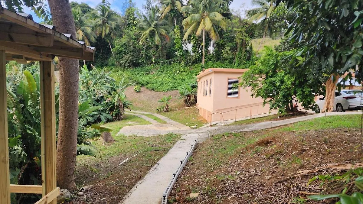 Finca De Jungla Rainforest Retreat Luquillo Holiday home
