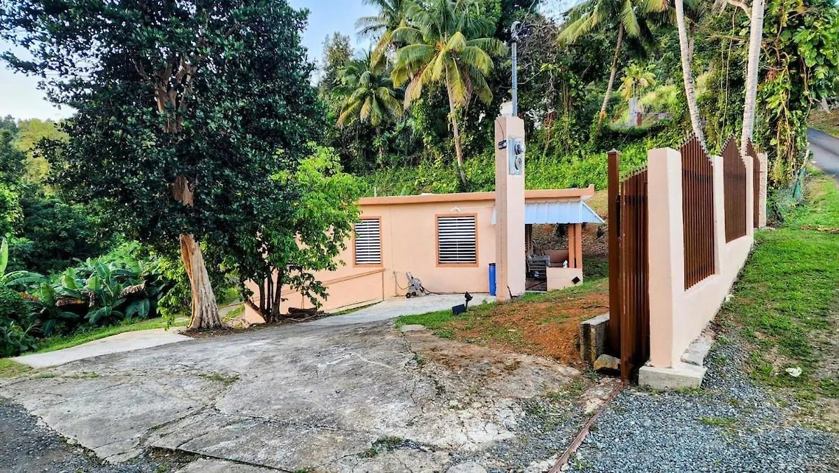 Holiday home Finca De Jungla Rainforest Retreat Luquillo