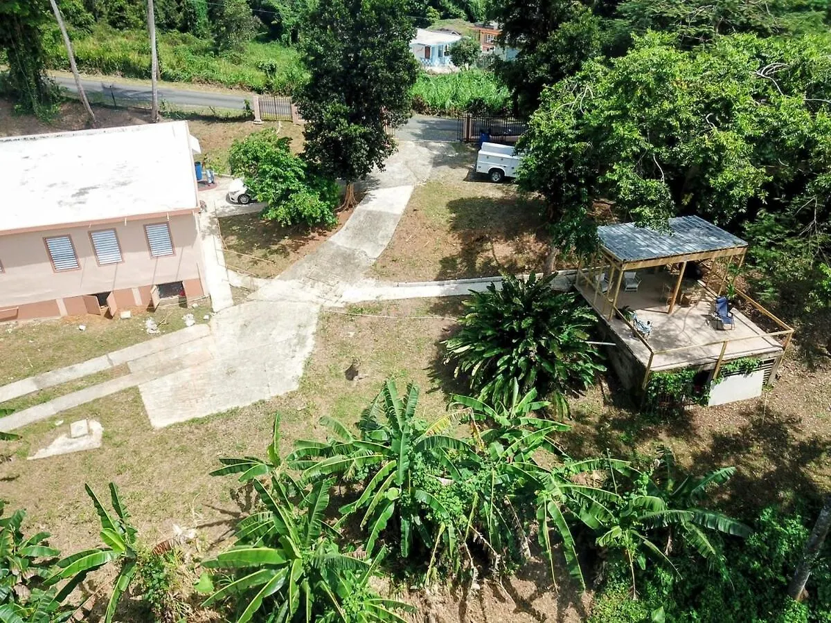Holiday home Finca De Jungla Rainforest Retreat Luquillo Puerto Rico