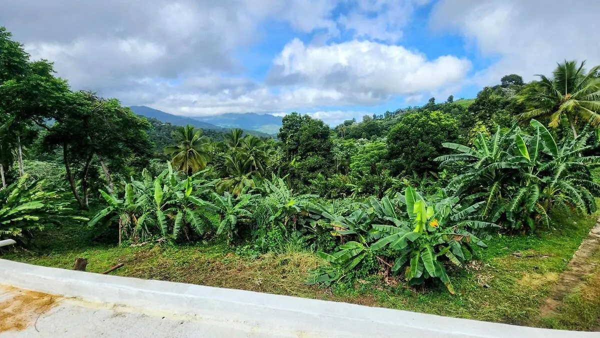 Finca De Jungla Rainforest Retreat Luquillo Puerto Rico