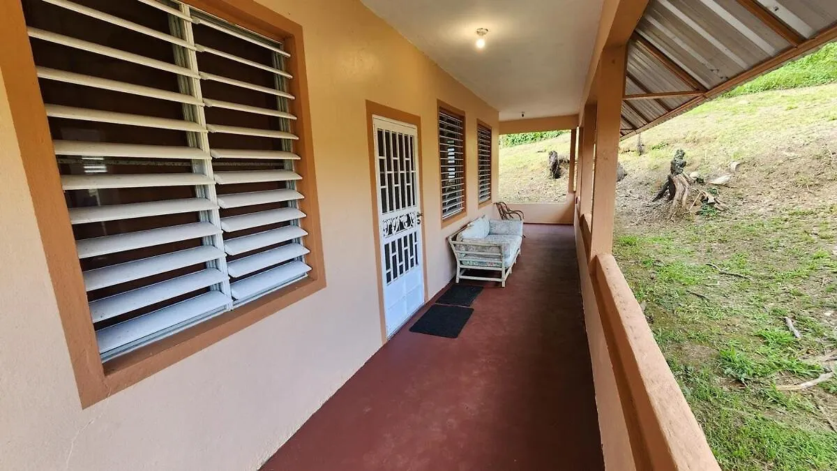 Finca De Jungla Rainforest Retreat Luquillo