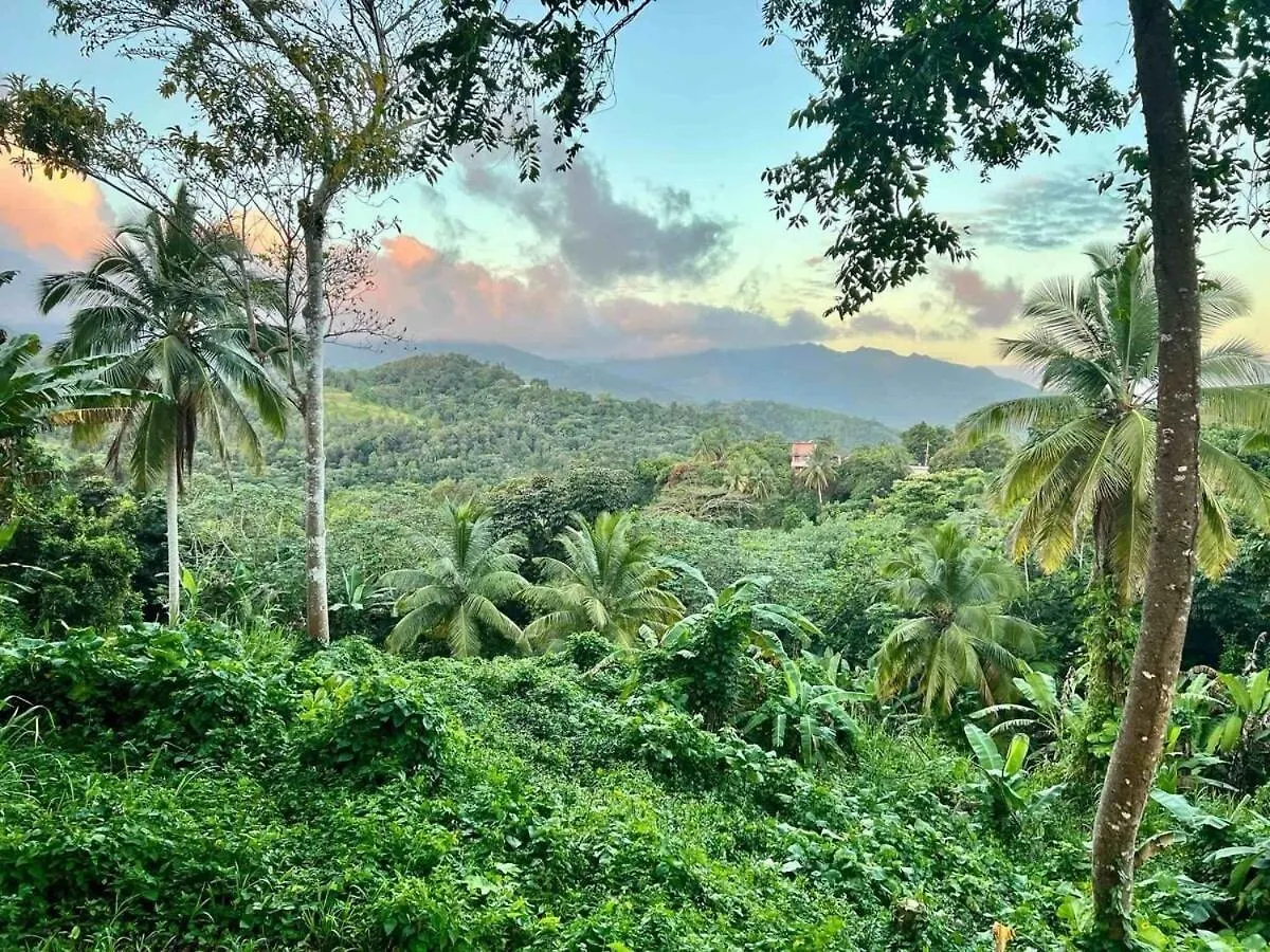 Finca De Jungla Rainforest Retreat Luquillo