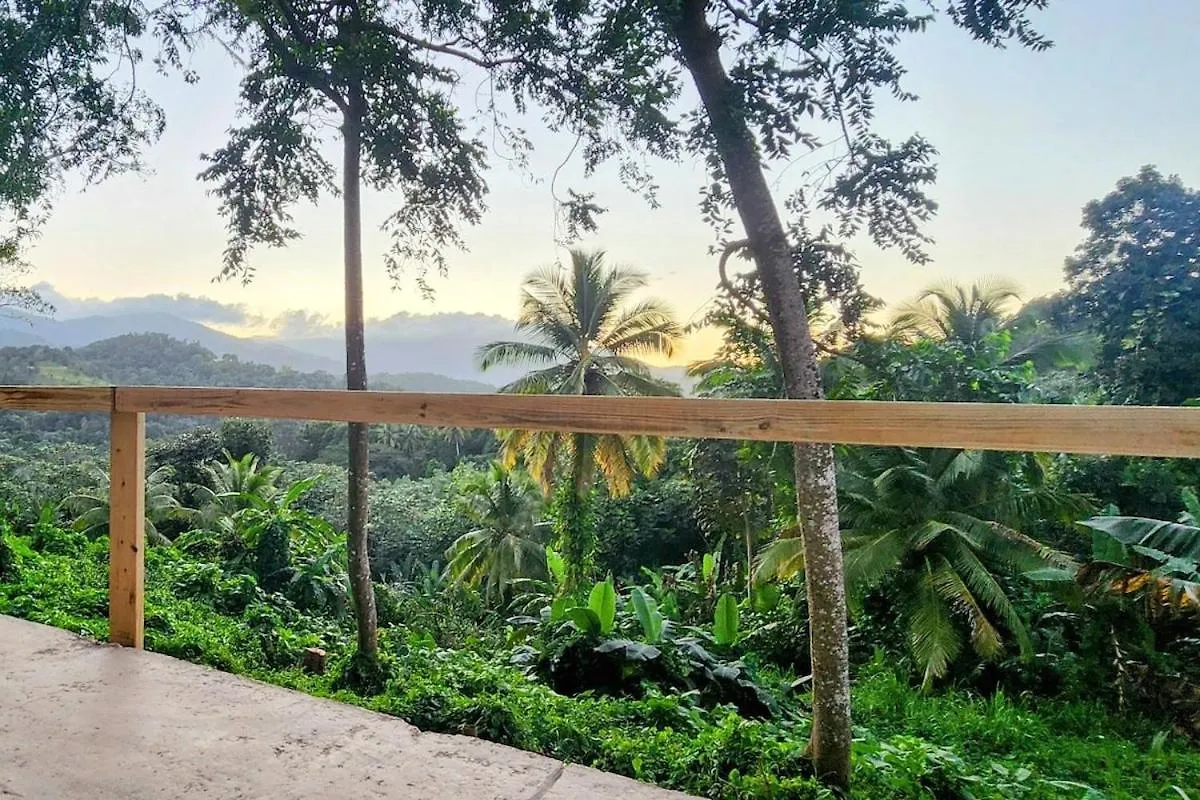 Holiday home Finca De Jungla Rainforest Retreat Luquillo