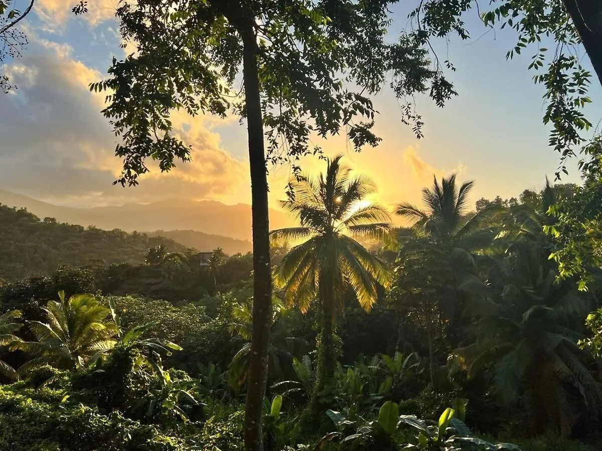 Finca De Jungla Rainforest Retreat Luquillo